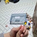 (주)나우렌트카 | 함께해서 따뜻했던 2025년 연말 기록