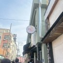 댕댕이랑 3박4일 강릉 여행 🐾 강릉 신라모노그램 레지던스 펫룸 방문기