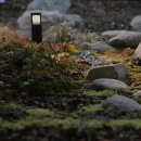 스테이담 이미지