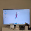 분당-306 | 수내체형교정 바디밸런스 분당체형교정과 수내동PT 후기