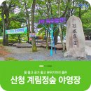 계림정야영장 이미지