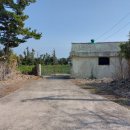 표선리-12 이미지