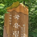 진동리주차장2(주차장 내) 네이버블로그