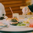 반려동물 케이크만들기 이미지