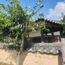 동창천체육공원 이미지