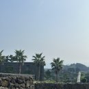 스테이월든 이미지