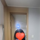 (주)로아메디 | 기분 전환용 블랙 염색, 동탄에서 찾은 온누리 상품권 사용 가능한 미용실