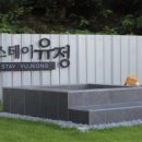 유정펜션