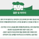 미유펫 동물병원 이미지