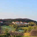 남안동컨트리클럽 | 백일홍 어우러진 남안동cc 라운딩 가볼만한 식당
