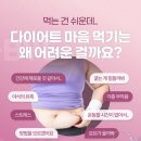 더쉽게하는다이어트