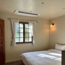 스테이 레브 이미지