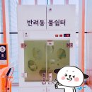 바른반려견센터 이미지