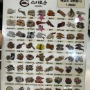 1990 | 청주회전초밥 오송맛집 스시로운 한접시 1990원 점심후기