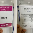 대전펫츠