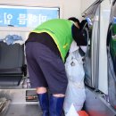 이길리 마을회관 앞 이미지