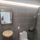 스테이다옴 이미지