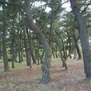 석계계곡 이미지