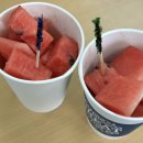 청송관 | 피치 썸머