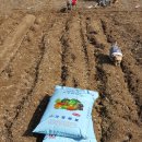 율동농장 이미지