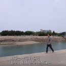 난지도소나무펜션 이미지