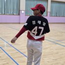 고고베이스볼
