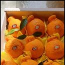 다미농장 이미지