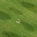 상상미술유치원 | 퇴근후미술원 봉천동점 삶의 질 수직 상승 취미미술 수업 후기