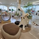 701아를고양이카페(cat in the art) 이미지