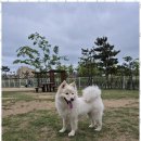 시화유치원 이미지