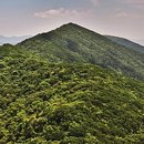 심산유곡