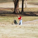 드림스포츠골프연습장 이미지