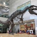 아해한국전통문화어린이박물관(아해박물관) 이미지