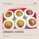 은혜환경 | 과일 선물용으로 좋은 은혜네자두 추희자두 후기