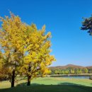 서초중앙로33길 11 이미지