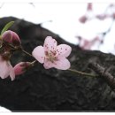 남동국민체육센터 이미지