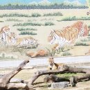 달성공원 이미지