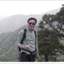 나라연 Daum카페