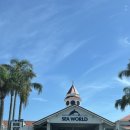 Gold coast | 골드코스트 씨월드 (Sea World Gold Coast) 후기