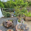 휘명동산약국 이미지