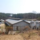 용일농장 이미지