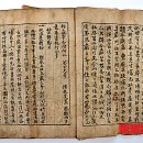 귤수소조 이미지