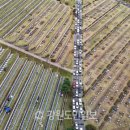 춘천안식공원 이미지