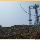 목포시 재활용선별센터 이미지