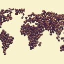 커피나라 이미지