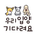 꽃길걷개 이미지