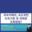 단속카메라(지주설치) 네이버블로그
