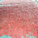 호야2농장 이미지