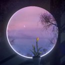 로니로니