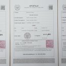 공인 대한 번역행정사 네이버블로그